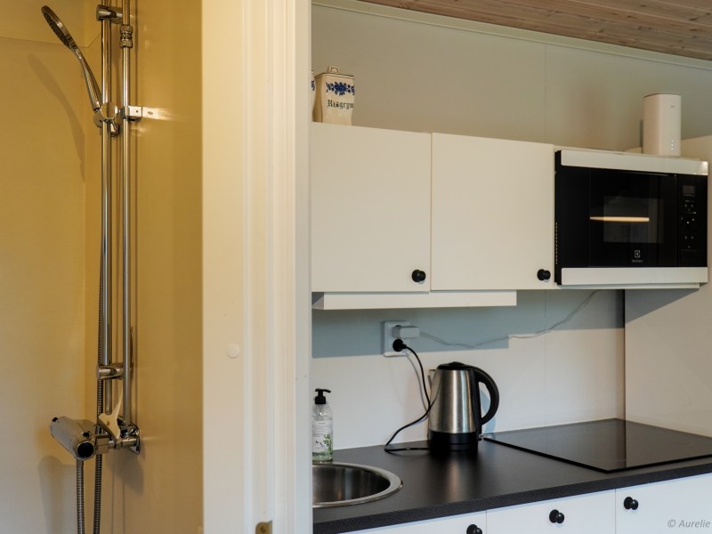 Compact kitchen with a sink, kettle, microwave, and adjacent shower area.