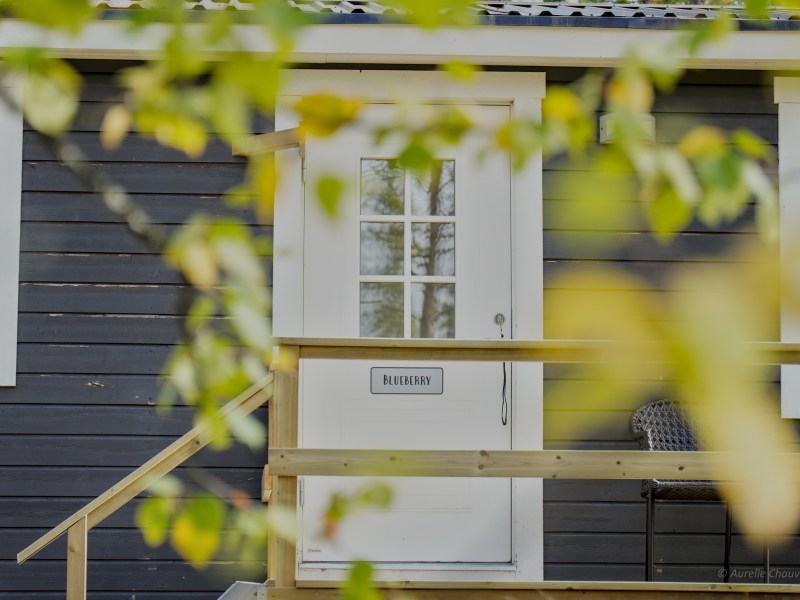 White door of a dark blue house, surrounded by yellow-green leaves.
